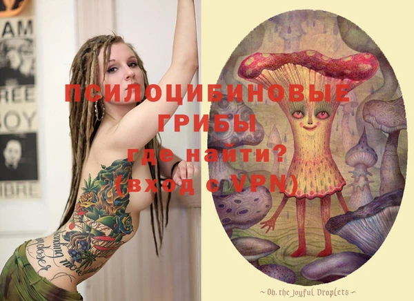 таблы Вяземский