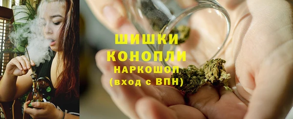 экстази Бикин