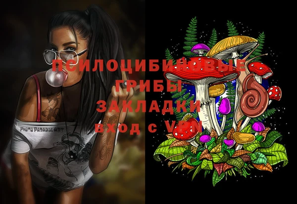 экстази Бикин