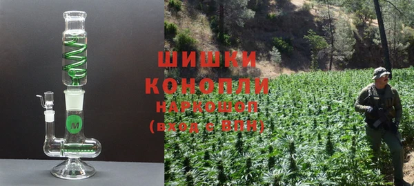 ГАЛЛЮЦИНОГЕННЫЕ ГРИБЫ Вязники
